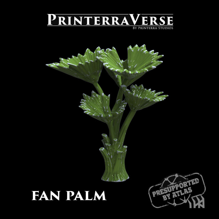 Fan Palm Tree - 004-2-034 image