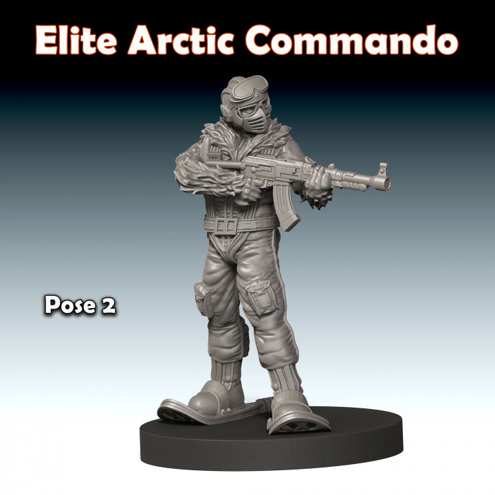 ELITE ‘Cartoon’ Arctic Commando, Pose 2 image