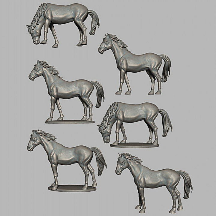 Standing Horses image
