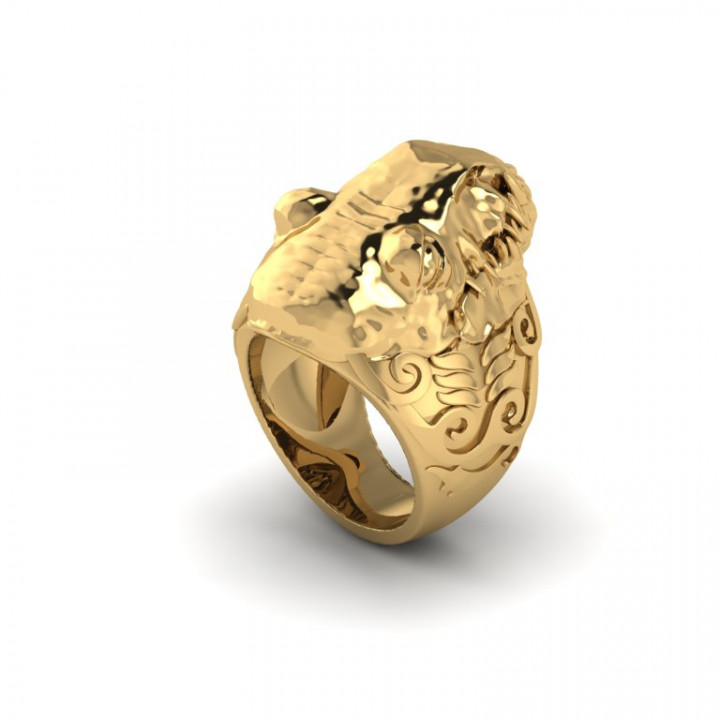 Space Bug Ring R04 (326) image