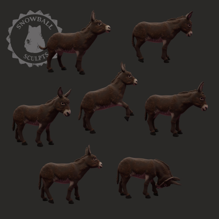 Donkey Set (with/without pack) image