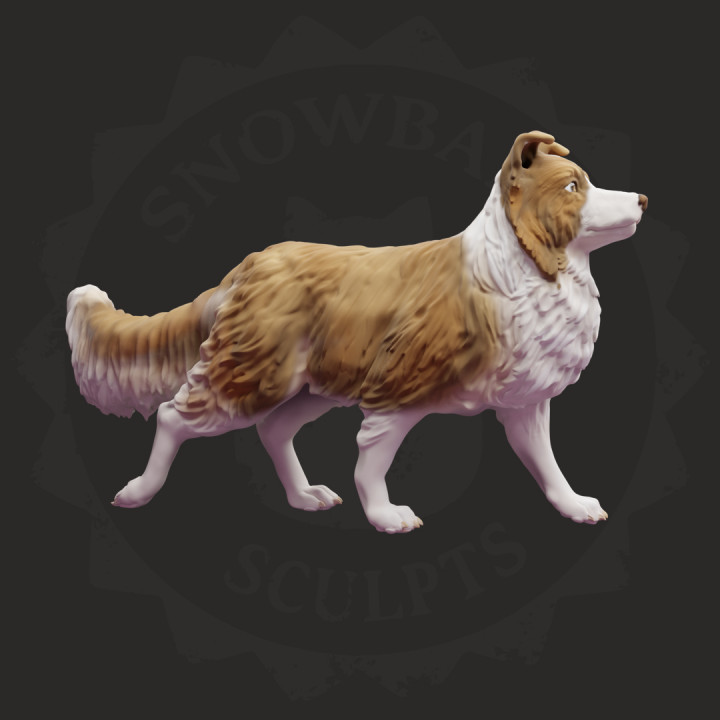 Dog Set/Collection image