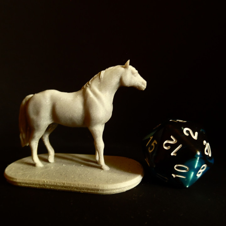 Horse Set