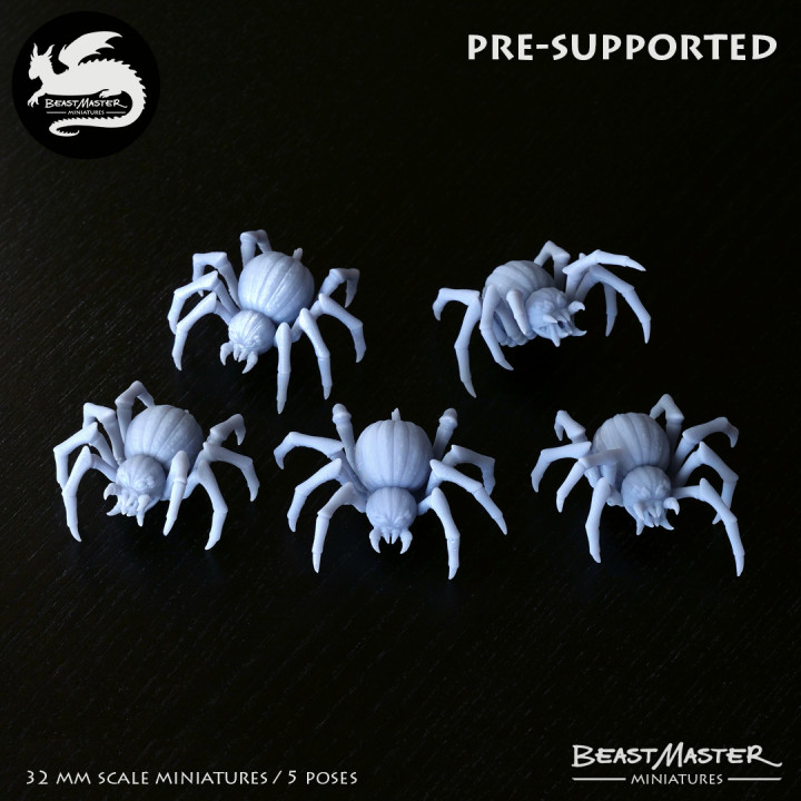 Pumpkin Spider Pack - Pre-supported - 5 models image