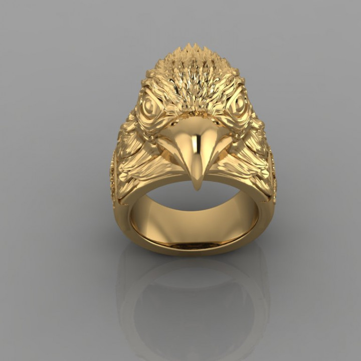 Roster Ring R60 image