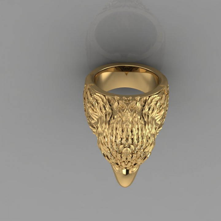 Roster Ring R60 image