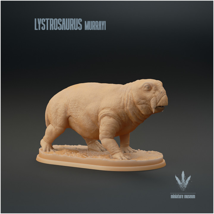Lystrosaurus murrayi : The Shovel Lizard image