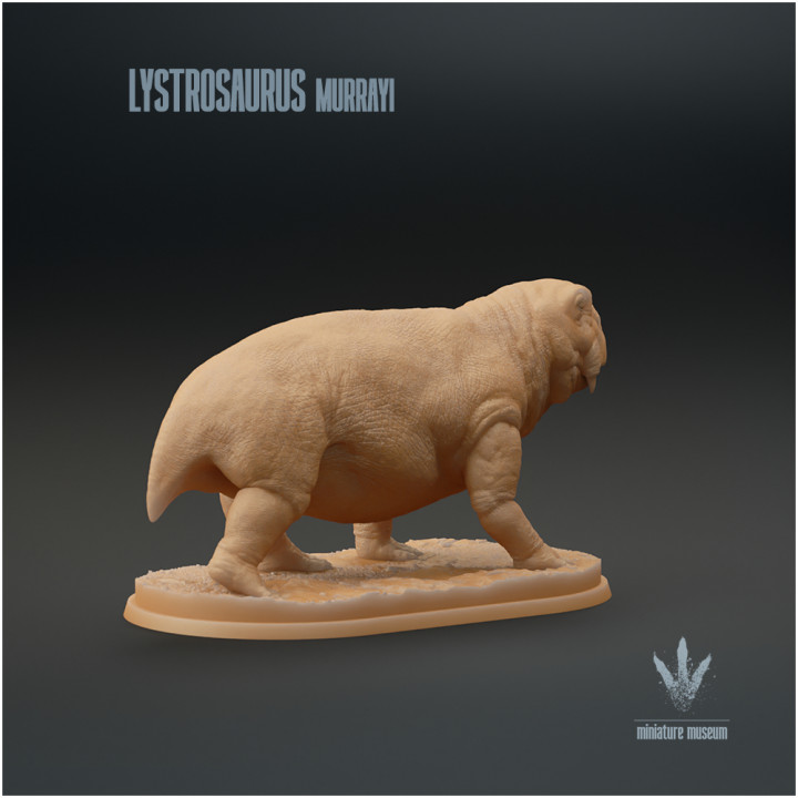 Lystrosaurus murrayi : The Shovel Lizard image