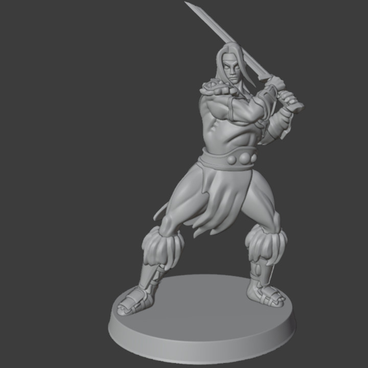 Barbarian mini