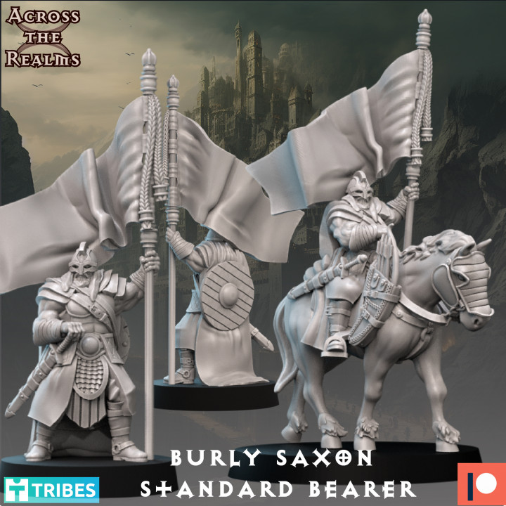 Burly Saxon Standard Bearer image