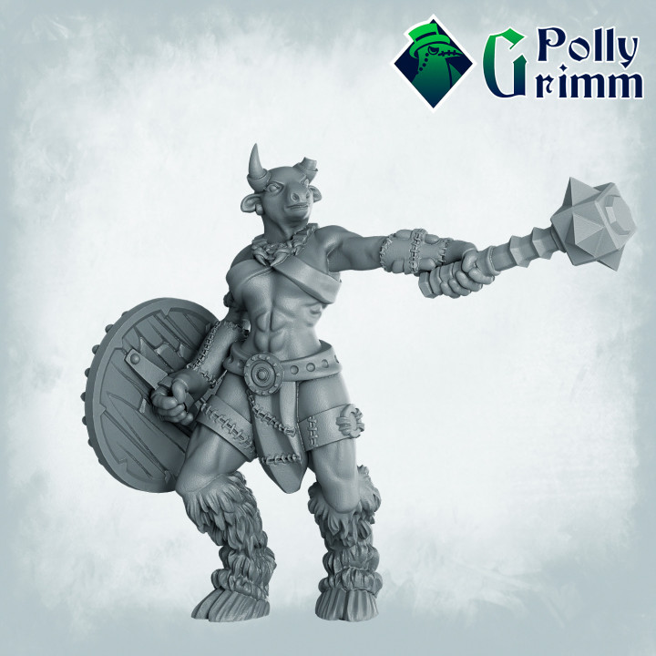 Tabletop miniature. Minotaur set. Warrior female