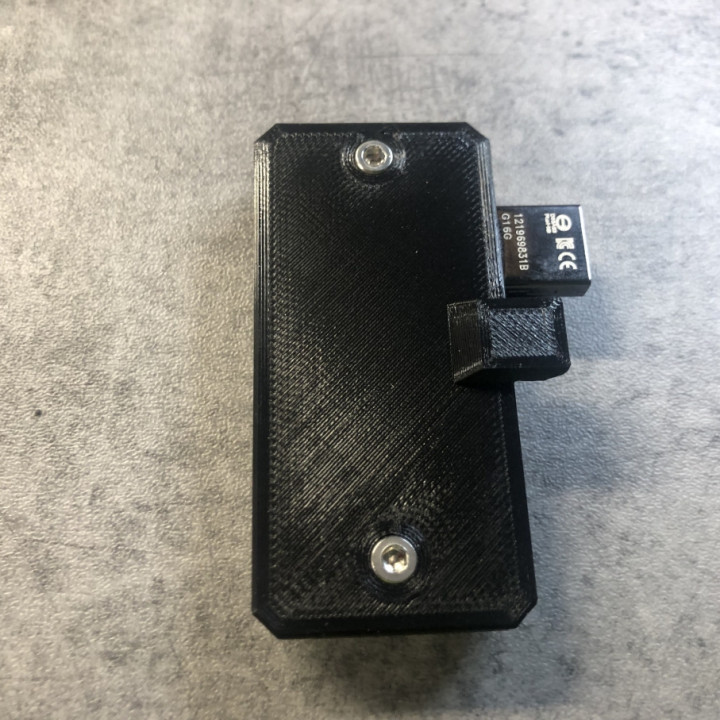 Prusa I3 MK4 USB Stick Case image