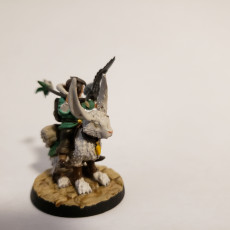 Picture of print of Gnome Female Druid - RPG Hero Character D&D 5e - Titans of Adventure Set 23