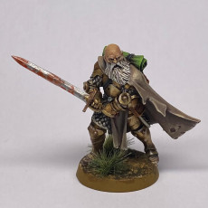 Picture of print of Human Male Paladin - RPG Hero Character D&D 5e - Titans of Adventure Set 25