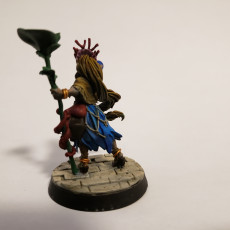 Picture of print of Elf Female Druid - RPG Hero Character D&D 5e - Titans of Adventure Set 26