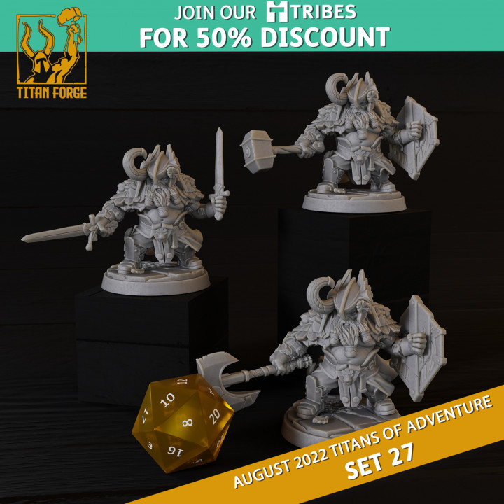 Dwarf Male Fighter - RPG Hero Character D&D 5e - Titans of Adventure Set 27 image