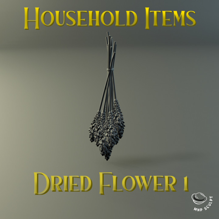 Household Items image