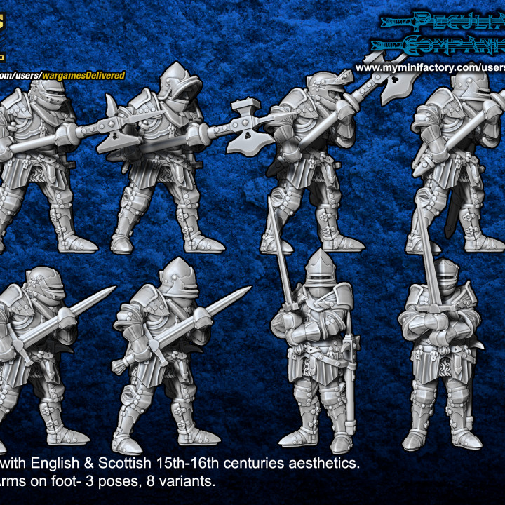 Anglo-Scots Heavy Infantry image