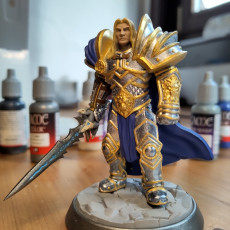 Picture of print of Prince Paladin Weapon Swap