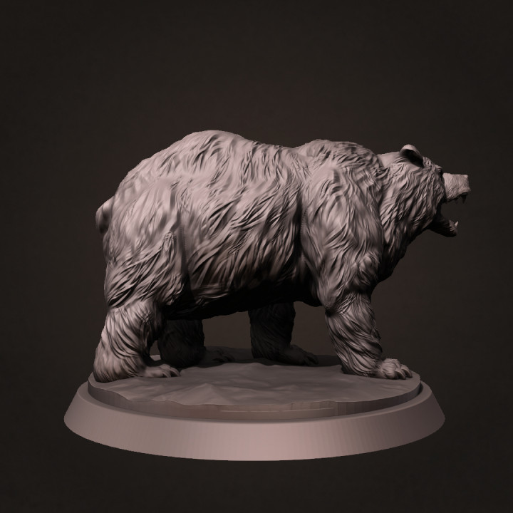 Cave bear