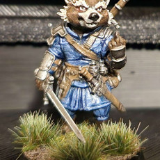 Picture of print of Raccoon Rogue 1
