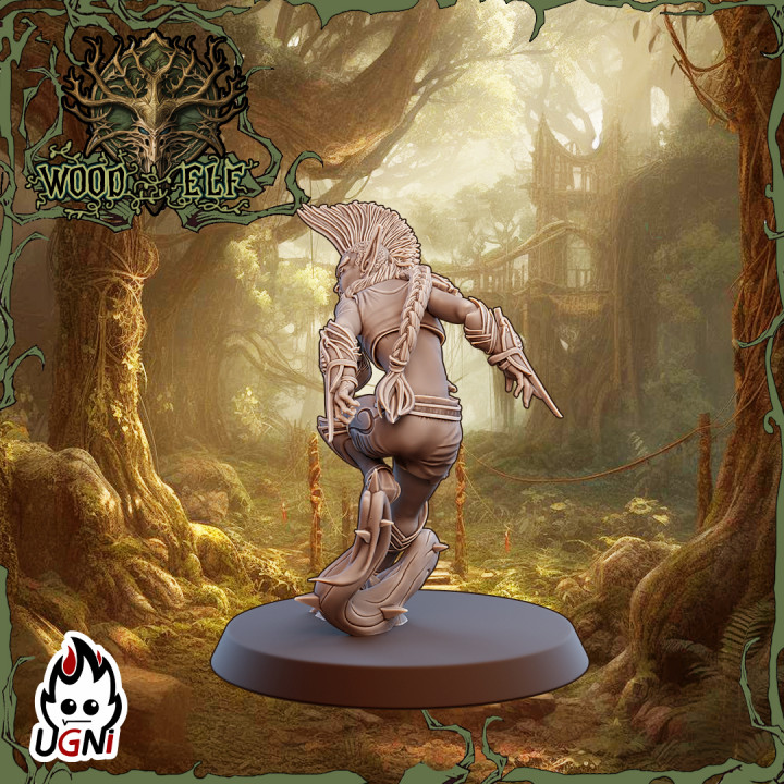 Wardancer #01 - Wood Elf Team