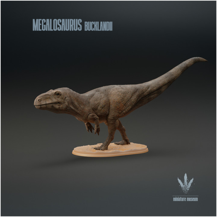 Megalosaurus bucklandii : The Great Lizard image