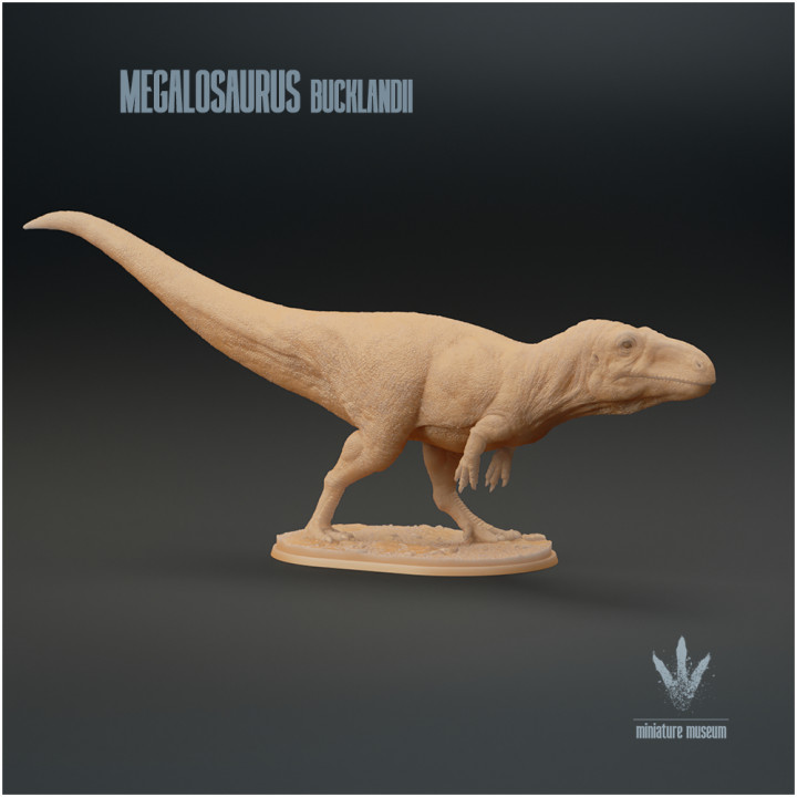 Megalosaurus bucklandii : The Great Lizard image