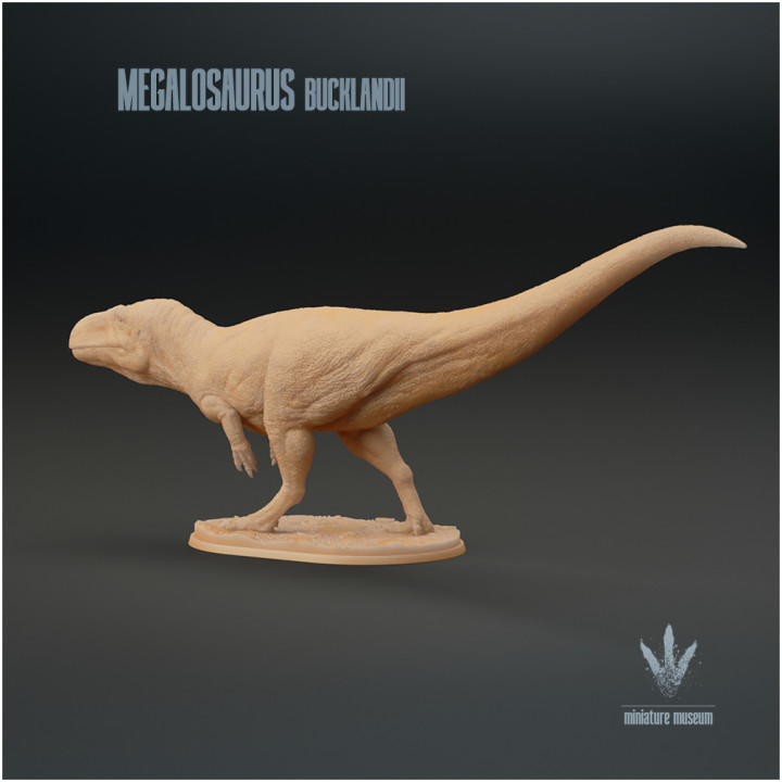 Megalosaurus bucklandii : The Great Lizard image