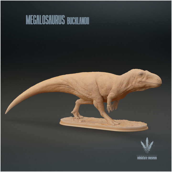 Megalosaurus bucklandii : Running image