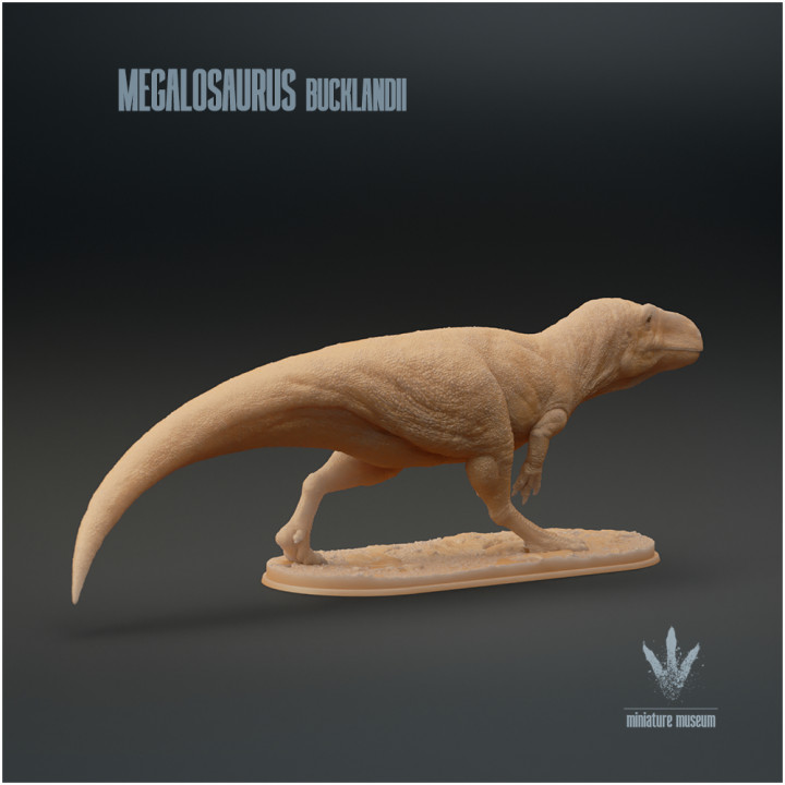 Megalosaurus bucklandii : Running image