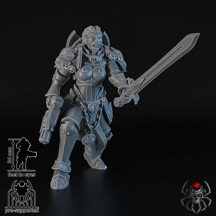 Widows of Retribution Сommander (Buildkit) image