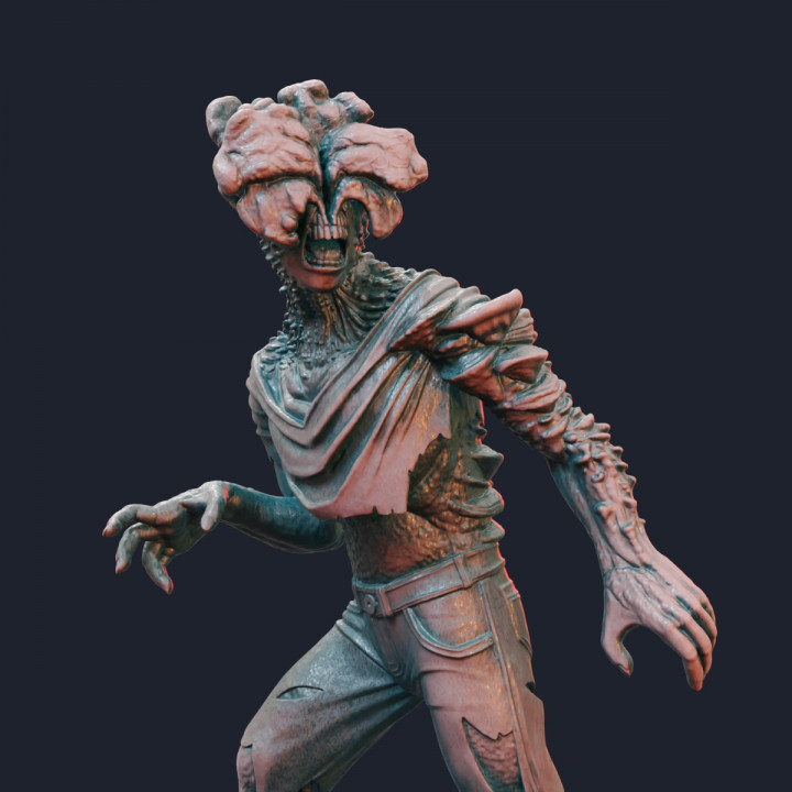 Fungus Zombie Set image