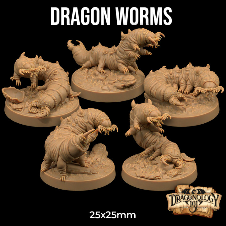 Dragon Worms | PRESUPPORTED | Dragonology 101 image