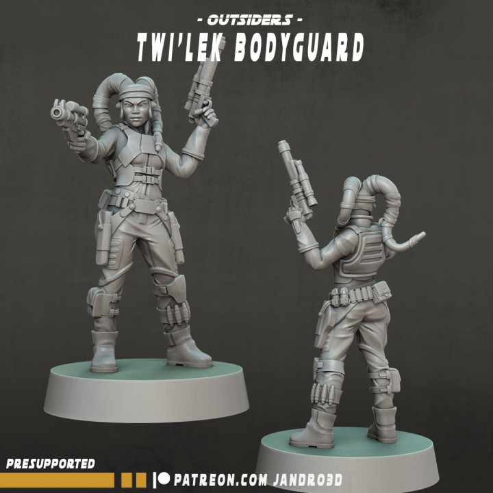 Twilek Bodyguard image