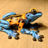 Tree Frog, Articulated fidget, Print-In-Place Body, Snap-Fit Head, Cute Flexi print image