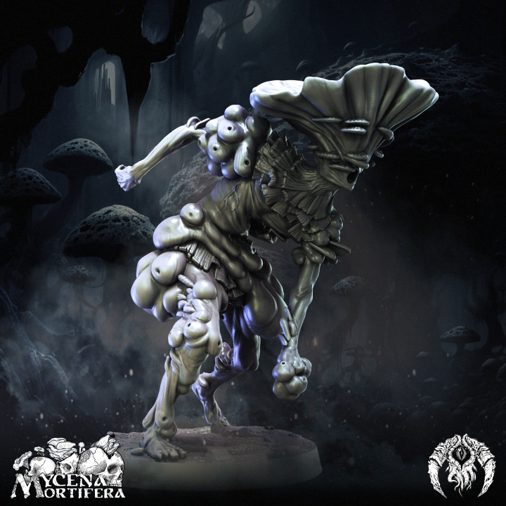 Mycena Mortifera: Collection image