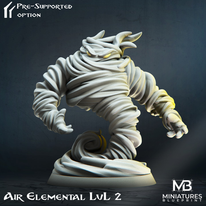 Air Elemental - LvL 2 image