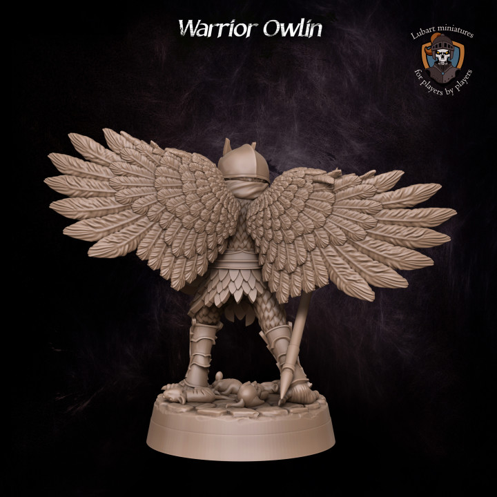Warrior Owlin image