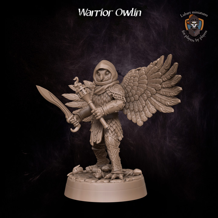 Warrior Owlin's Cover