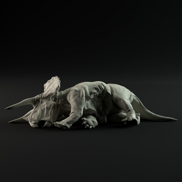 Triceratops dead 1-35 scale pre-supported dinosaur image