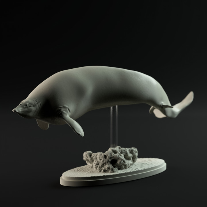 Perucetus colossus 1-100 scale pre-supported prehistoric whale image