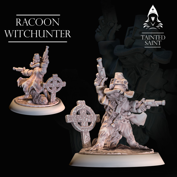 Racoon Witchhunter image