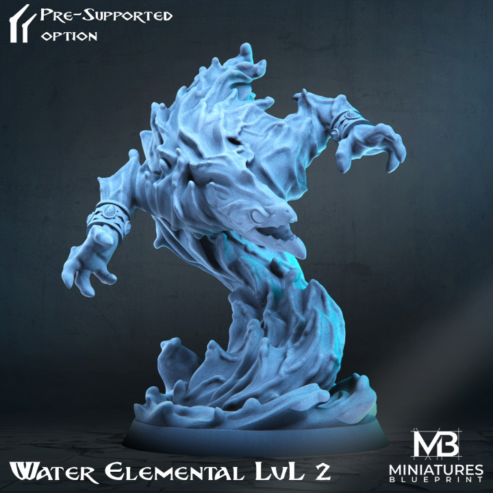 Water Elemental - LvL 2 image
