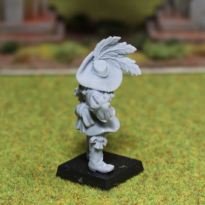Bornland Mercenary 1