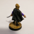 Elf Male Aristocrat - RPG Hero Character D&D 5e - Titans of Adventure Set 32 print image