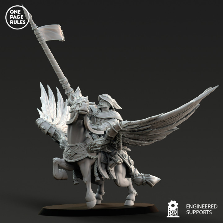 Empire Captain on Pegasus image