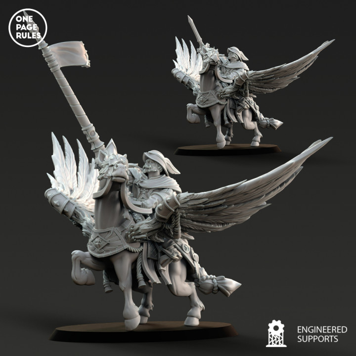Empire Captain on Pegasus image