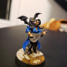 Picture of print of Human Male Bard - RPG Hero Character D&D 5e - Titans of Adventure Set 35