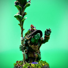 Picture of print of Tortle Male Druid - RPG Hero Character D&D 5e - Titans of Adventure Set 36
